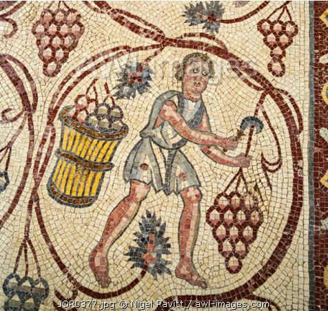 Read more about the article Wine Production and Climate Change in Arid Environments around the Roman Mediterranean