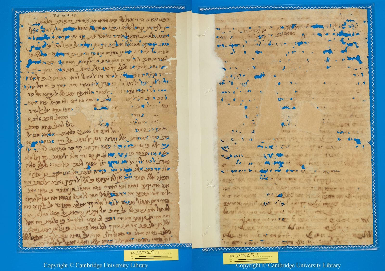Read more about the article 22/4/2021 – Lecture by Prof. Jessica Goldberg is now available on YouTube!