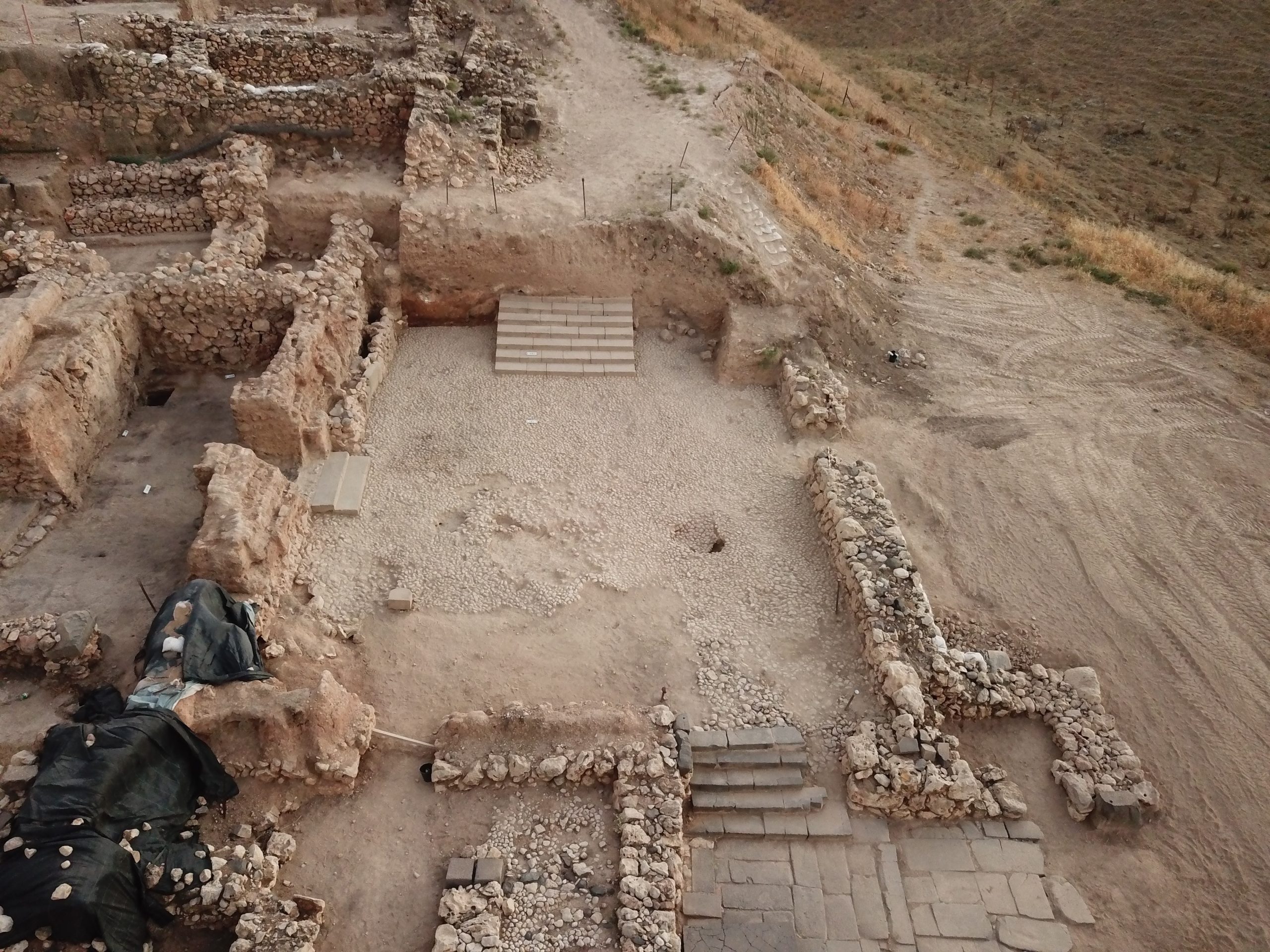 Read more about the article Research fellow, Dr. Shlomit Bechar, published a new article in the Oxford Journal of Archaeology