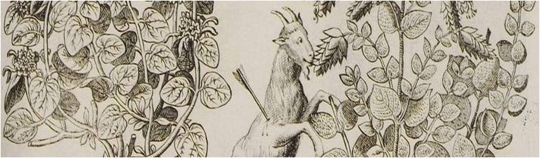 Read more about the article Abstracts – The Agency of Climatic and Environmental Factors  in Mediterranean History – January 7, 2020